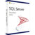Microsoft SQL Server 2022 Standard - unlimited User CALs in Edition 4 Core